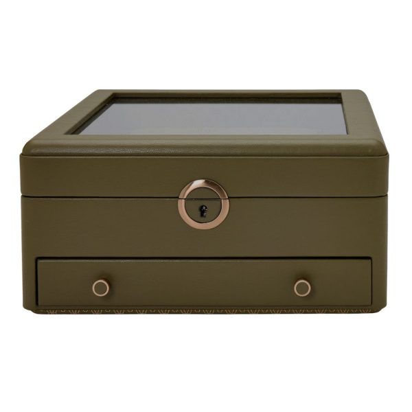 Earth Watch Stand Box