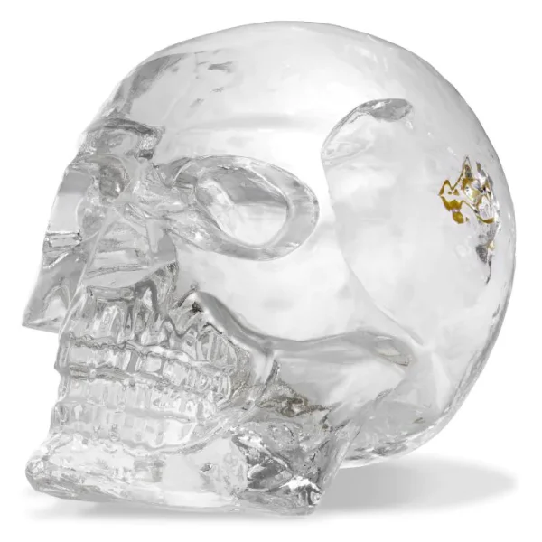 PHILIPP PLEIN - Diamond Skull