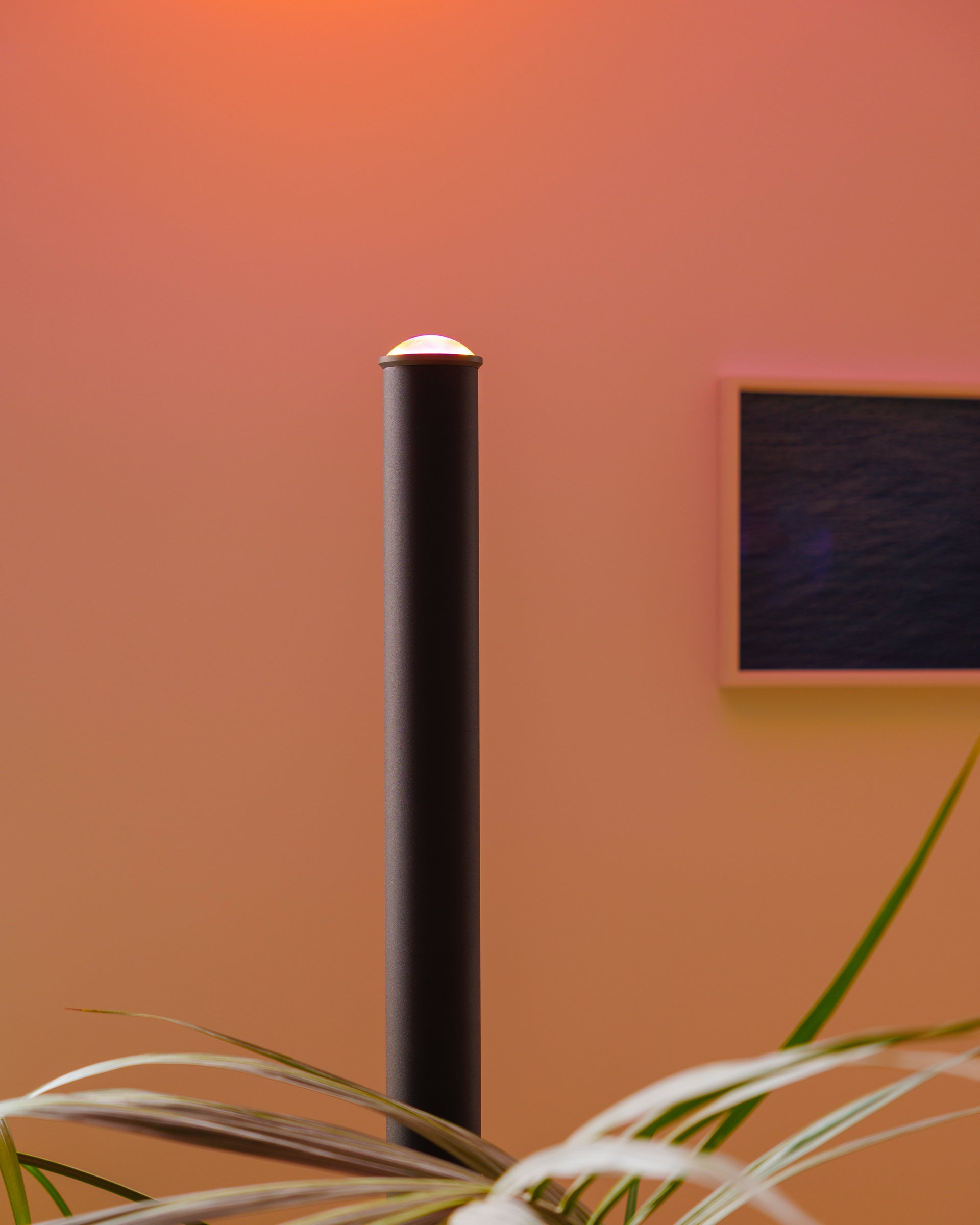Hallo Edytion - Lampa - Halo Bold - HaloBold12.jpg