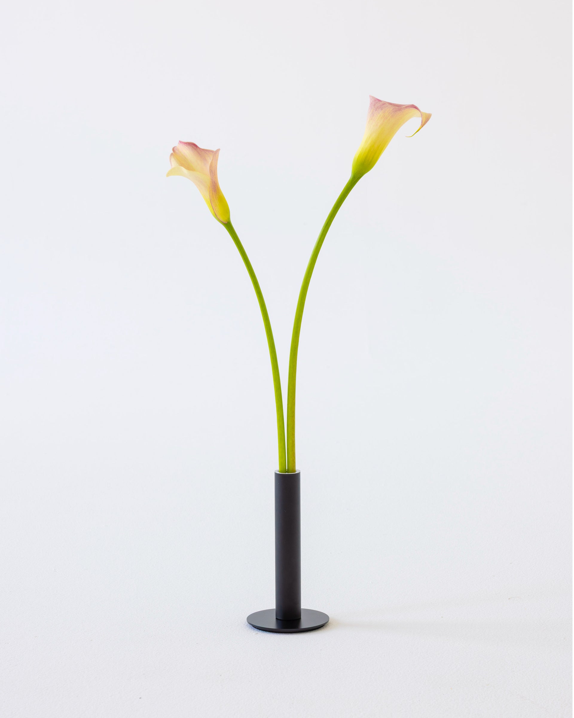 Hallo Edytion - Lampa - Halo Mag Bloom - Mag_Bloom_Copy_12.jpg