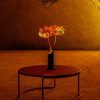 Hallo Edytion - Lampa - Halo Mag Bloom - Mag_Bloom_Copy_20_6bd35f38-6bf0-4c88-8acd-19ac72e1ea93.jpg