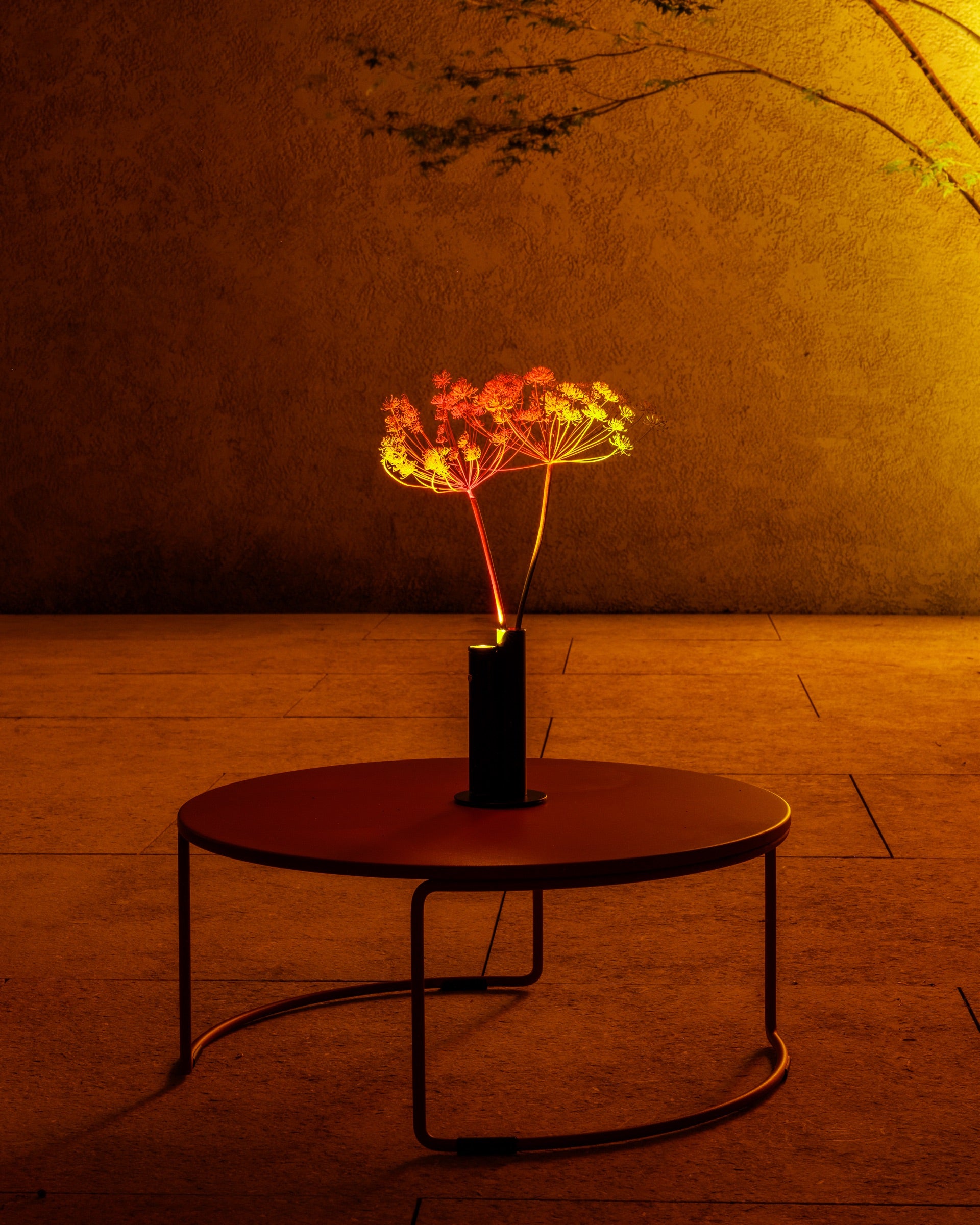 Hallo Edytion - Lampa - Halo Mag Bloom - Mag_Bloom_Copy_20_6bd35f38-6bf0-4c88-8acd-19ac72e1ea93.jpg